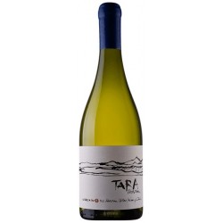 Yali Chardonnay Atacama 2016